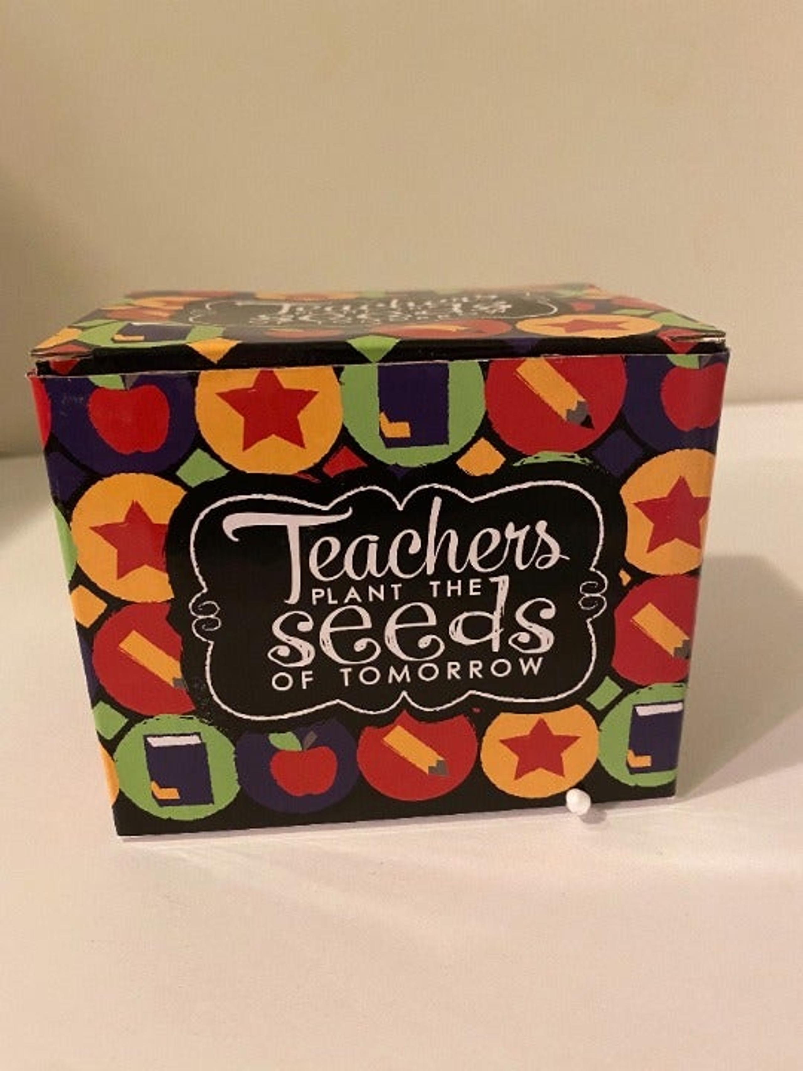 New Teachers Plant the Seed Mug