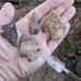 Four South Ga arrowheads