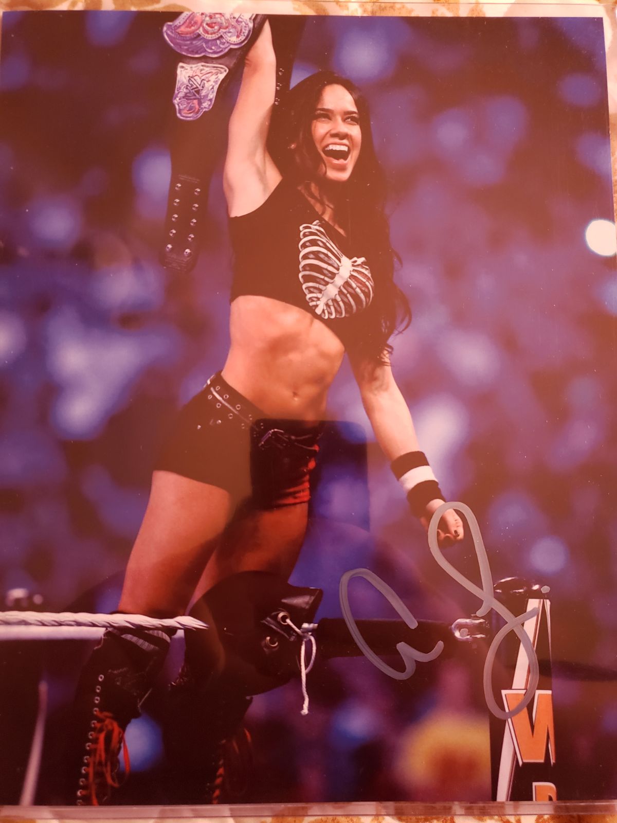 wwe Aj lee signed photo