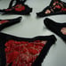 2 Piece Corset Top Lace Up Backing W Matching (New) G String