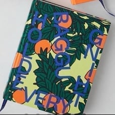 BAGGU: HOLD EVERYTHING Book Orange Grove Cover NWT