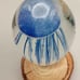 Dynasty Gallery Blue Glow in The Dark Hand Blown Glass Jellyfish Paperweight