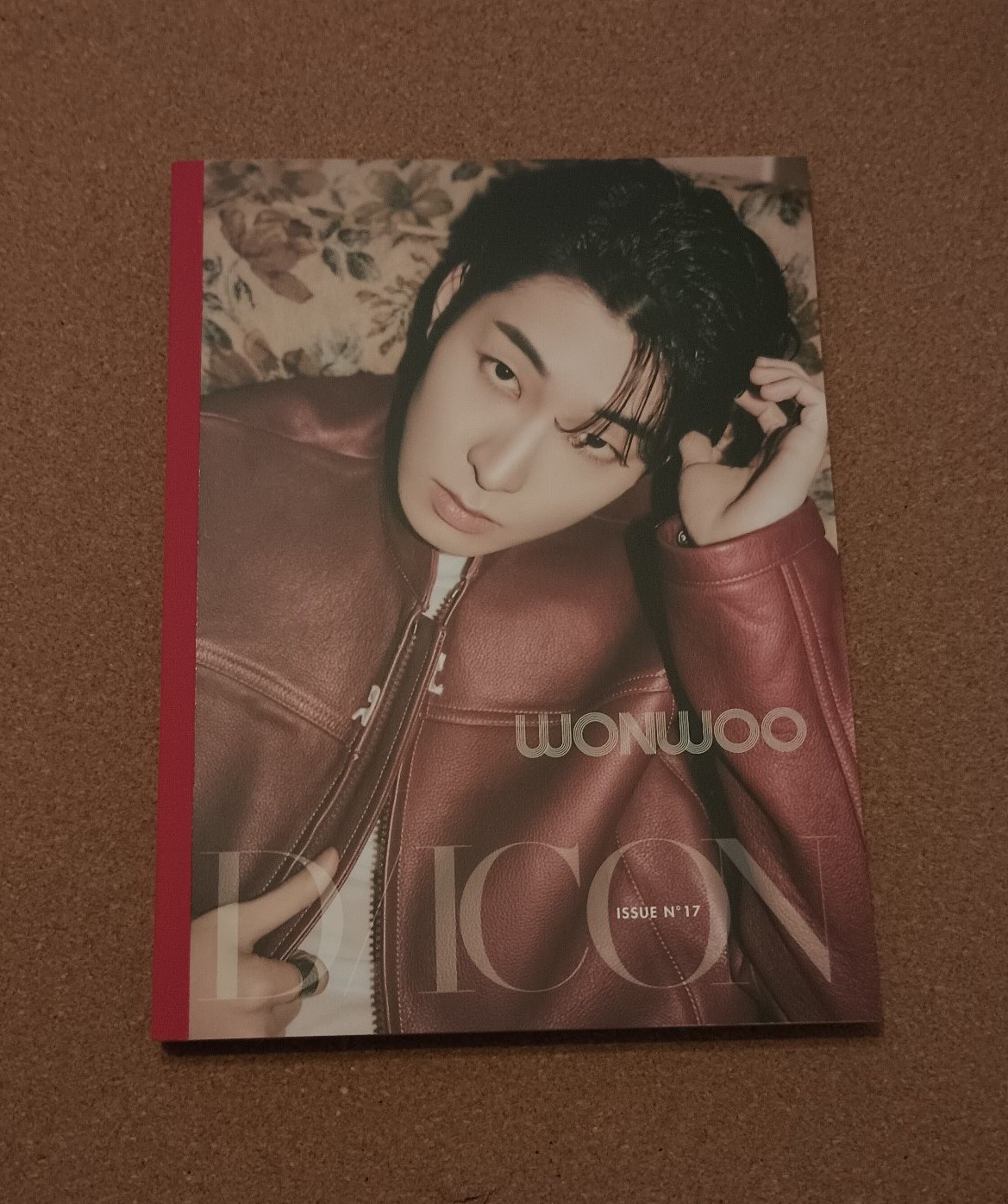 Seventeen Wonwoo Dicon magazine B type