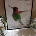 Hummingbird Watercolor Framed Art / Picture