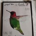 Hummingbird Watercolor Framed Art / Picture