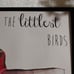 Hummingbird Watercolor Framed Art / Picture