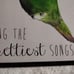 Hummingbird Watercolor Framed Art / Picture