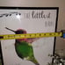 Hummingbird Watercolor Framed Art / Picture