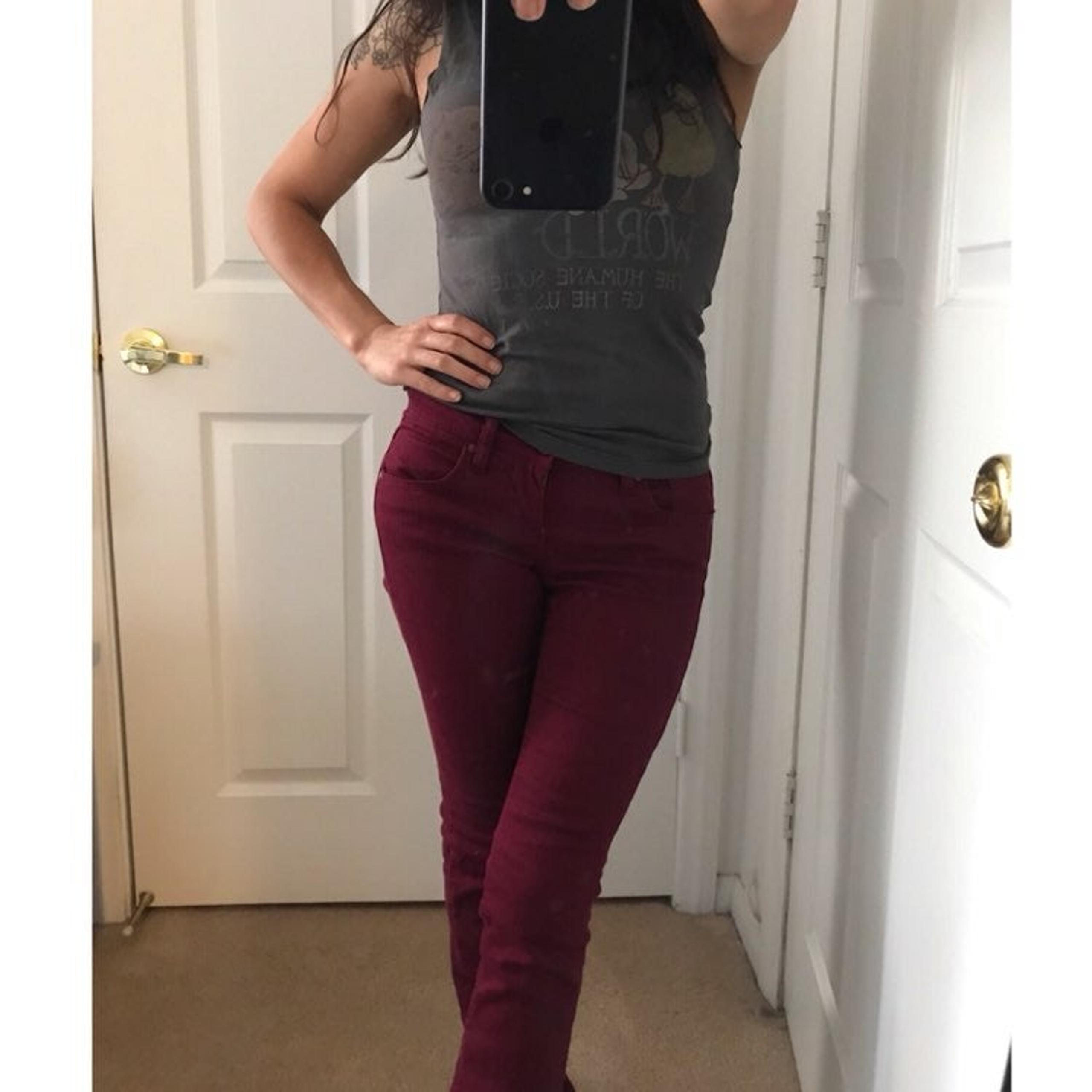 Burgundy Pants - Xhilaration