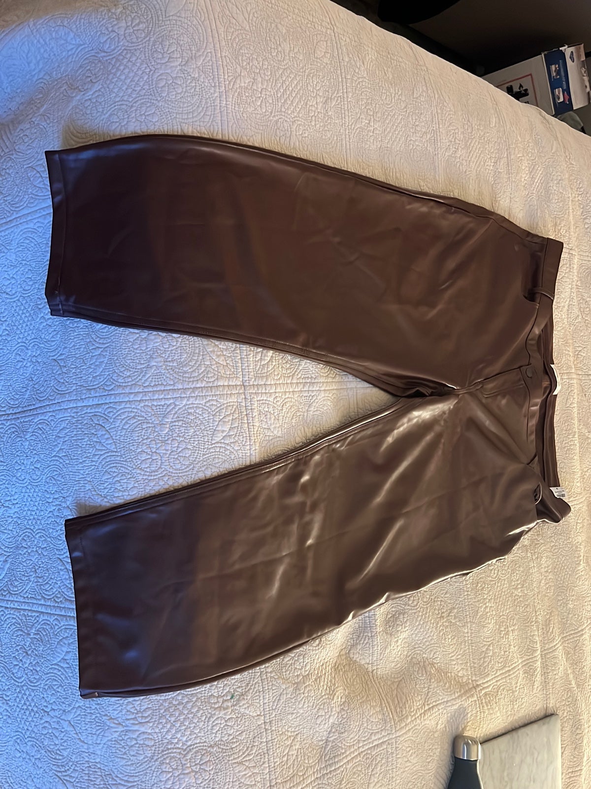 Abercrombie and Fitch Faux Leather Pants