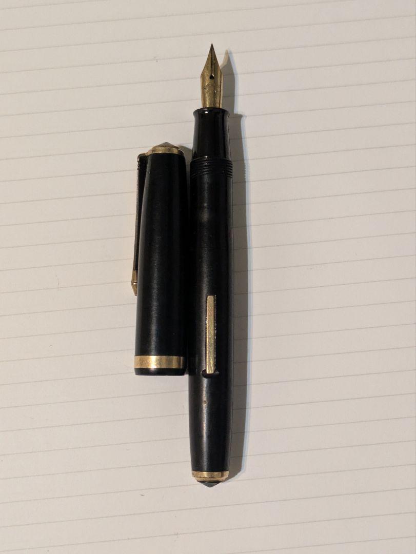 Pilot Warranted Fountain Pen, 14K Gold Nib