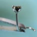 .11ct 2.98mm 100% REAL BLACK DIAMOND NOSE RING/SCREW, CERT,FREE DIA TESTER