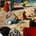 Busy Dog days at the beach… canvas art print wall decor