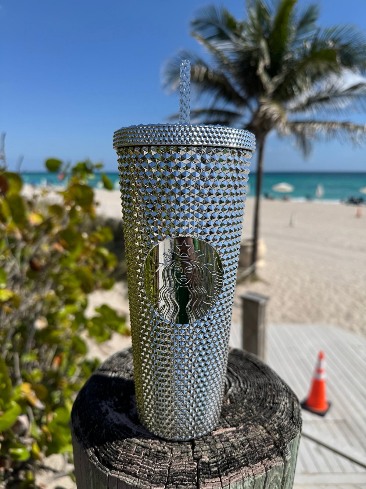 Starbucks X Disney Chrome Studded Venti Tumbler