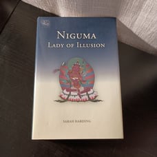 Niguma: Lady of Illusion by Sarah Harding (2010 Hardcover) Buddhism