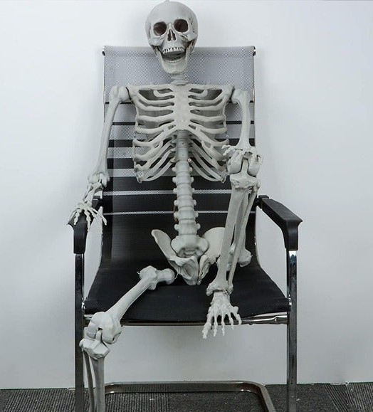 Halloween Skeleton, Halloween Human Skeletons Full Body Bones