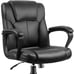 Shahoo Executive Office Chair Swivel Task Seat (Free Shipping)