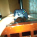 A Xbox controller