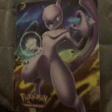 Pokemon japanese binder