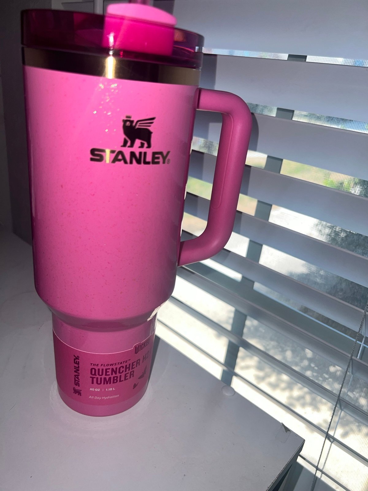 stanley wicked PINK
