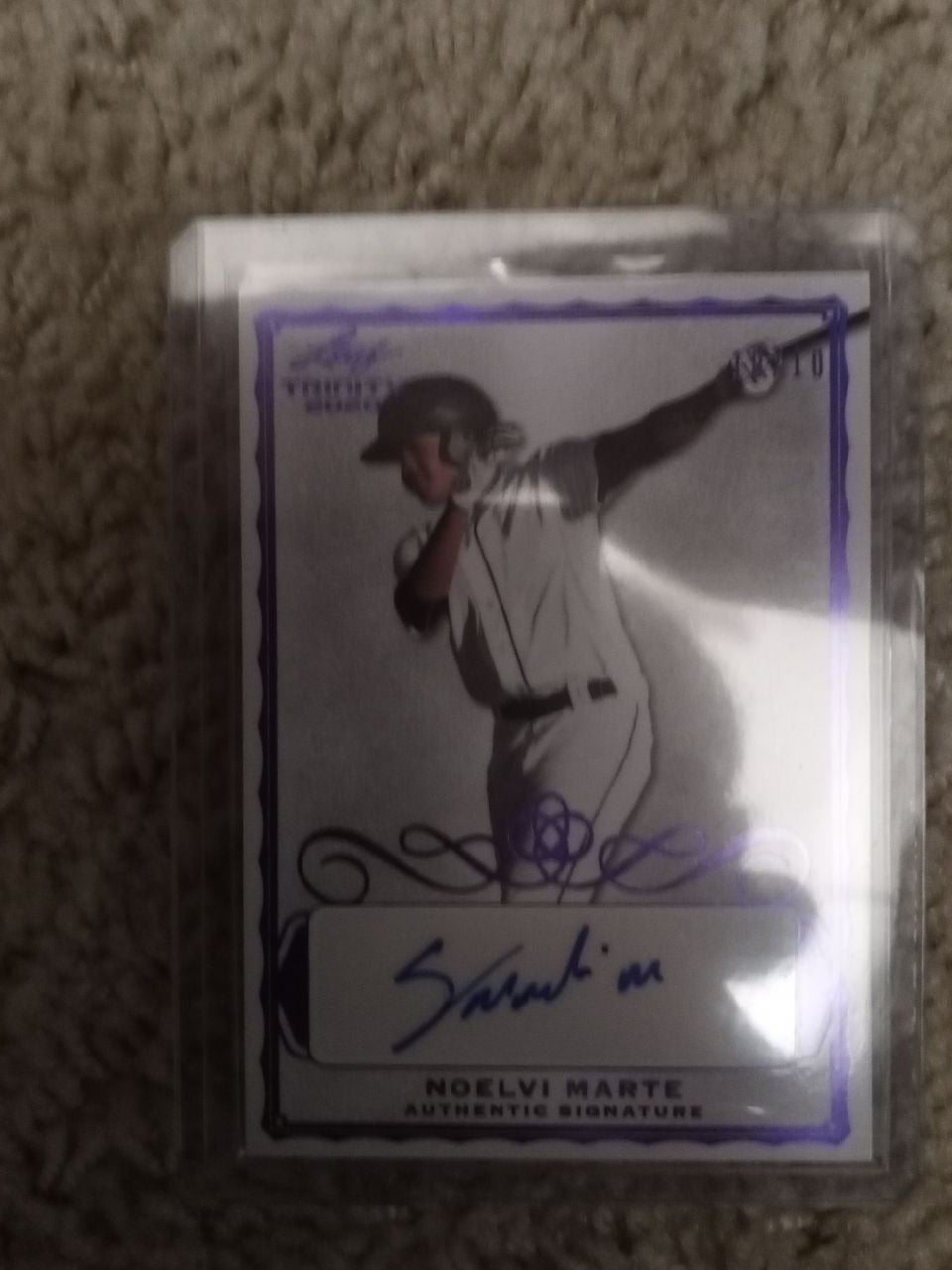 2020 Leaf noelvi Marte Auto 10/10