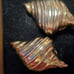 Piscitelli gold shell clip on earrings
