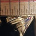 Piscitelli gold shell clip on earrings