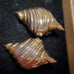 Piscitelli gold shell clip on earrings