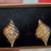 Piscitelli gold shell clip on earrings