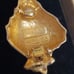 Piscitelli gold shell clip on earrings