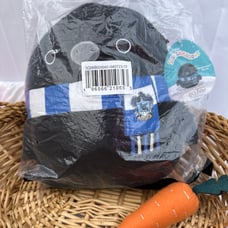 Harry Potter Ravenclaw Raven Squishmallow NWT
