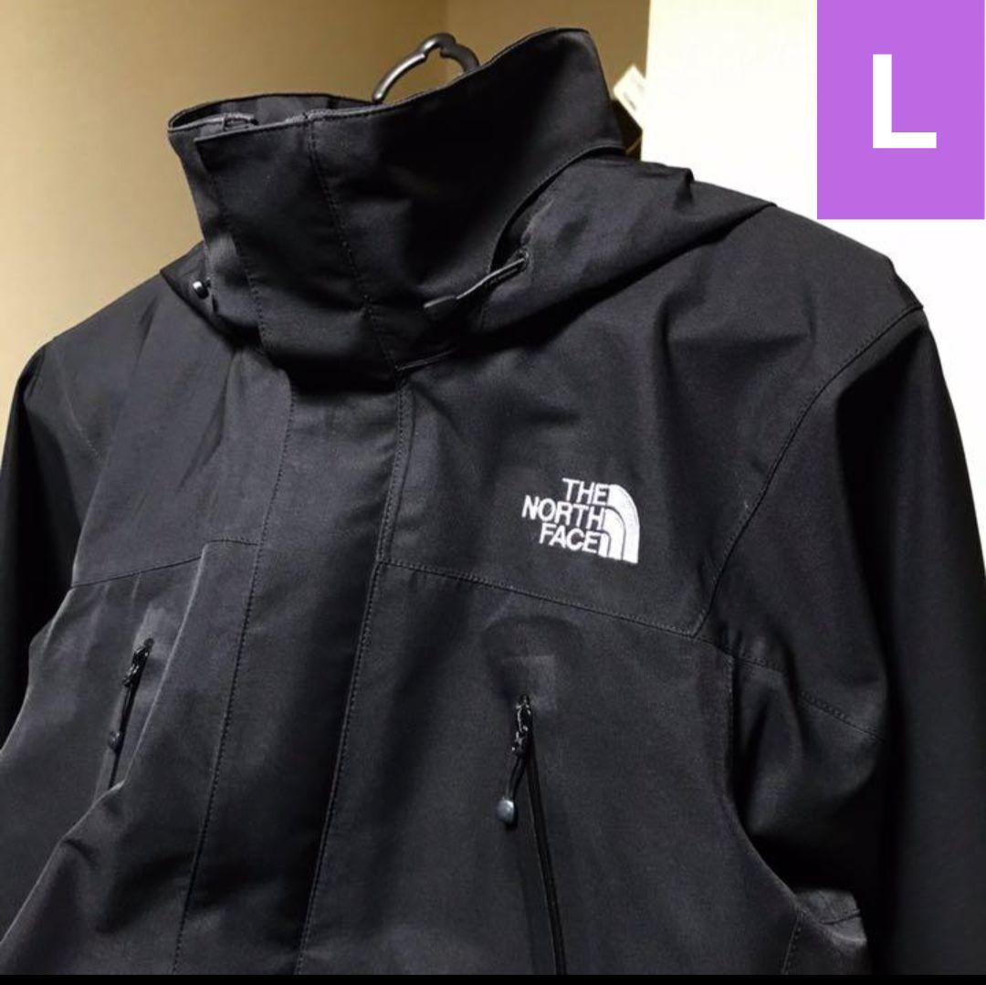 Rare L North Face Gore-Tex Mountain Parka