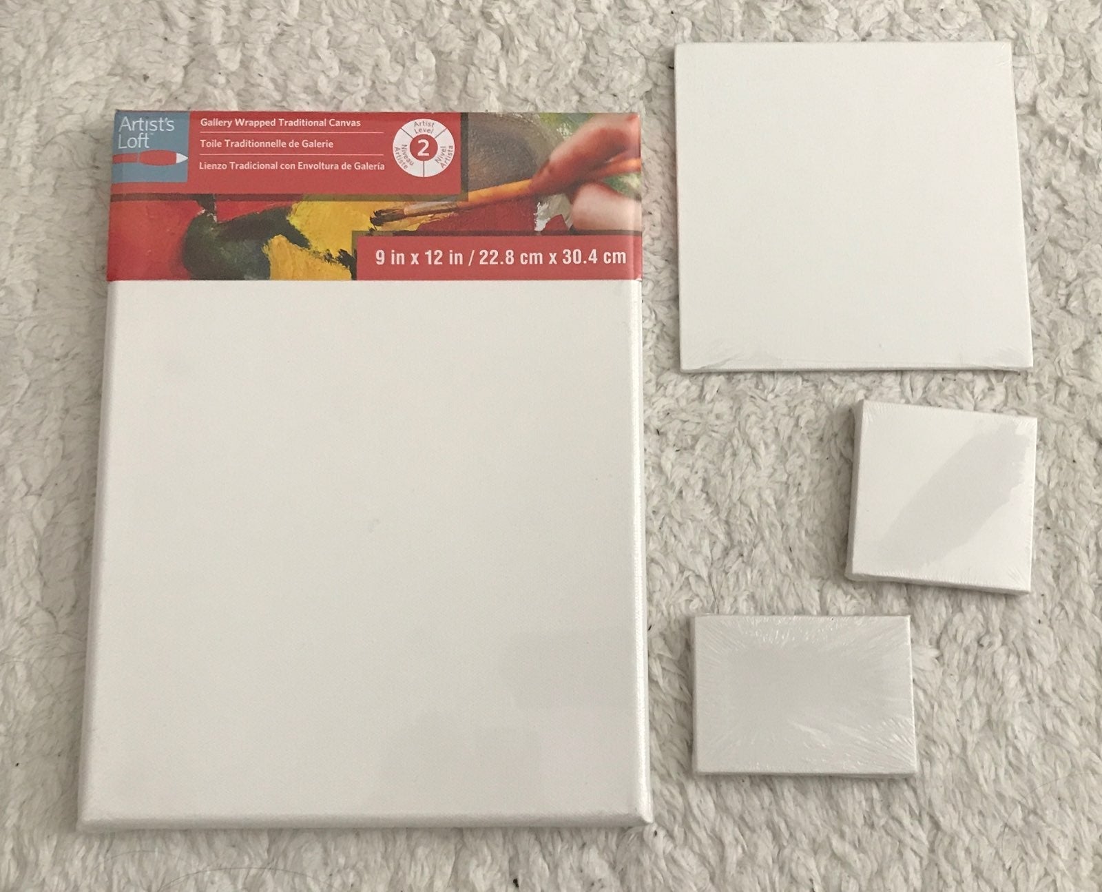 canvas sizes for painting (nfs)