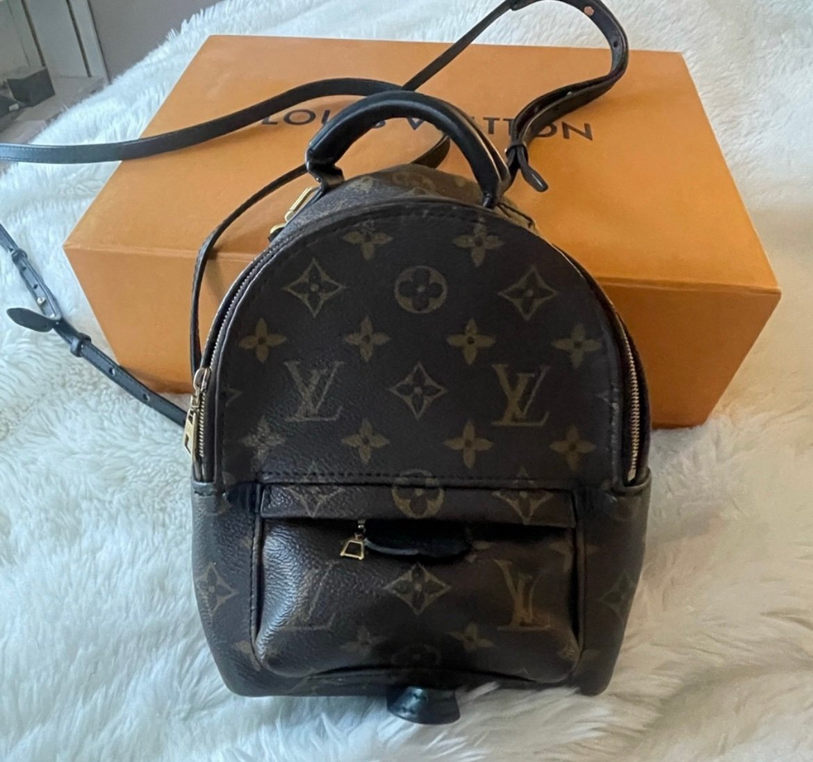 Louis Vuitton Palm Springs Mini