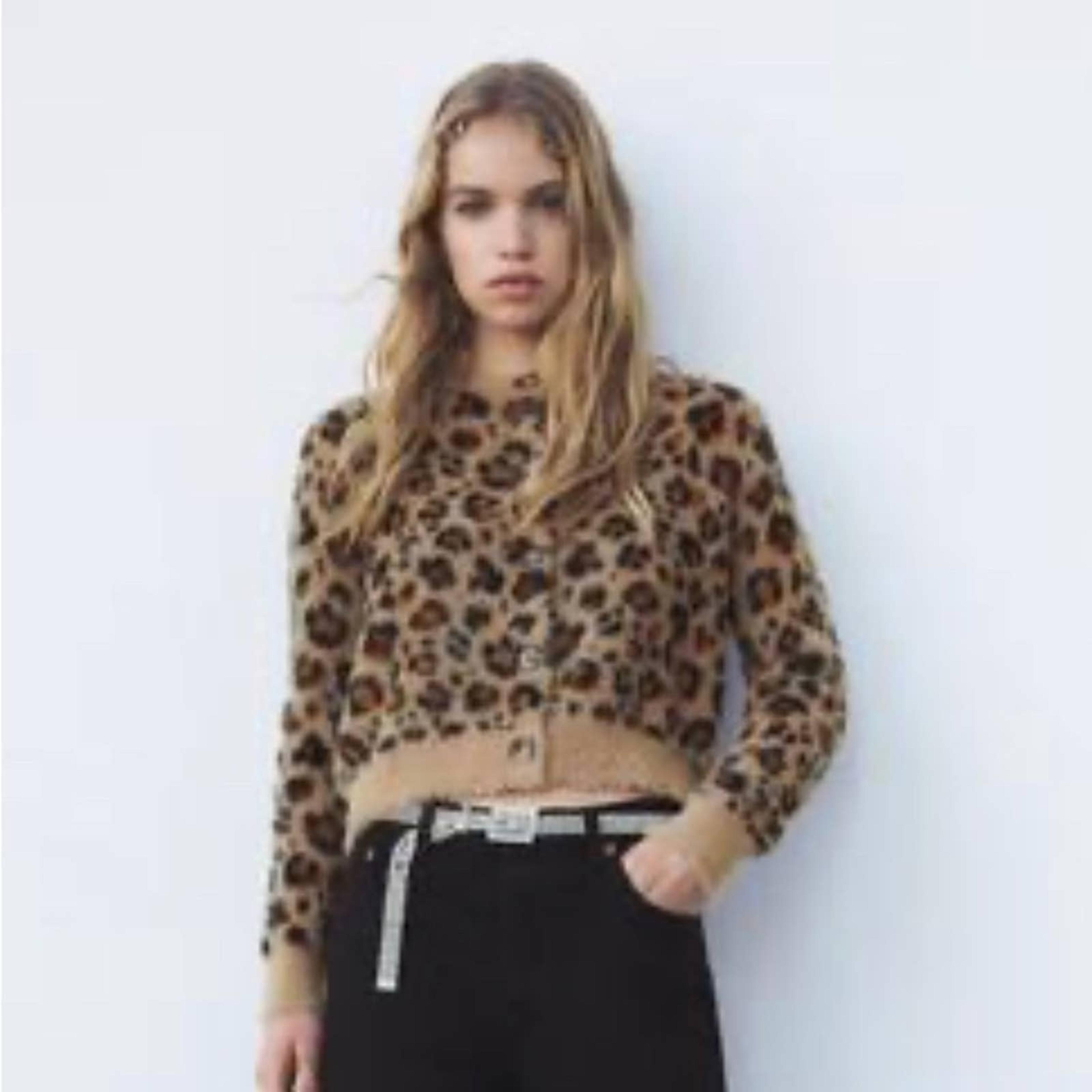 Zara animal print cardigan Clearance