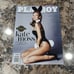 2014 Playboy Magazines Complete Set with centerfolds Lot of 10