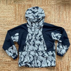 THE NORTH FACE Purple Label Paisley Mountain Parka