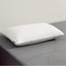 Purple Pillow Harmony (Standard Low)