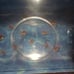 Toyops triassic triops kit from 2010