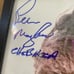 Star Wars Peter Mayhew (Chewbacca) Signed 8x10 Photo