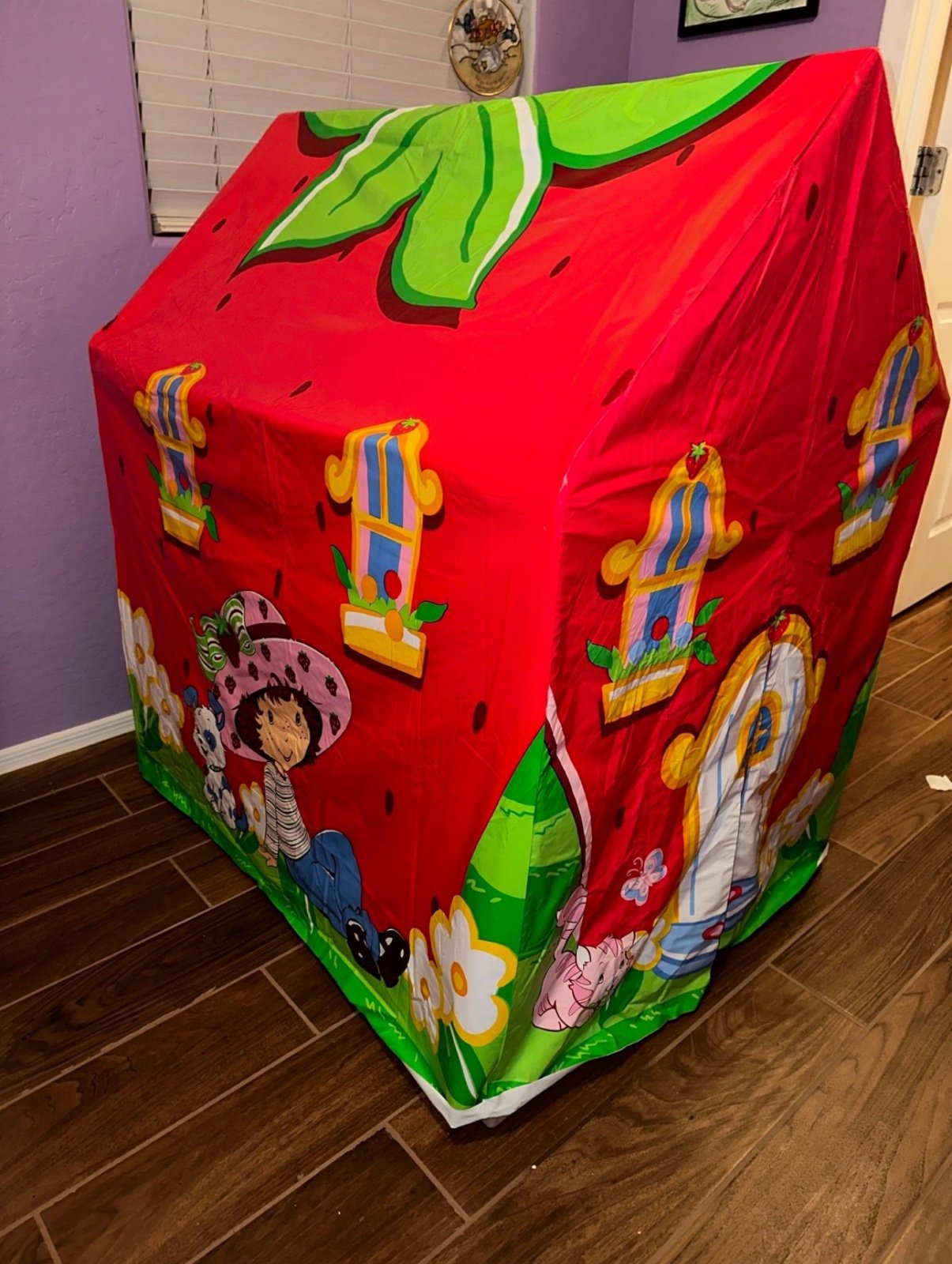 Strawberry shortcake playhouse (send offers)