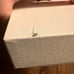 MVMT Women’s Watch