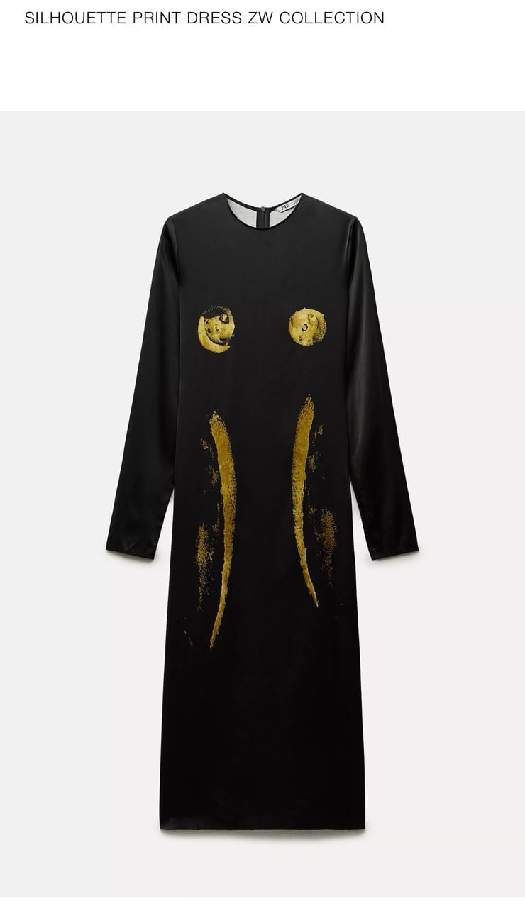 Zara dress