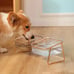 POOCH-LABS Pampered Paws Elevated Bowl (30.5 x 14.4 x11 Centimeters) Double Bowl