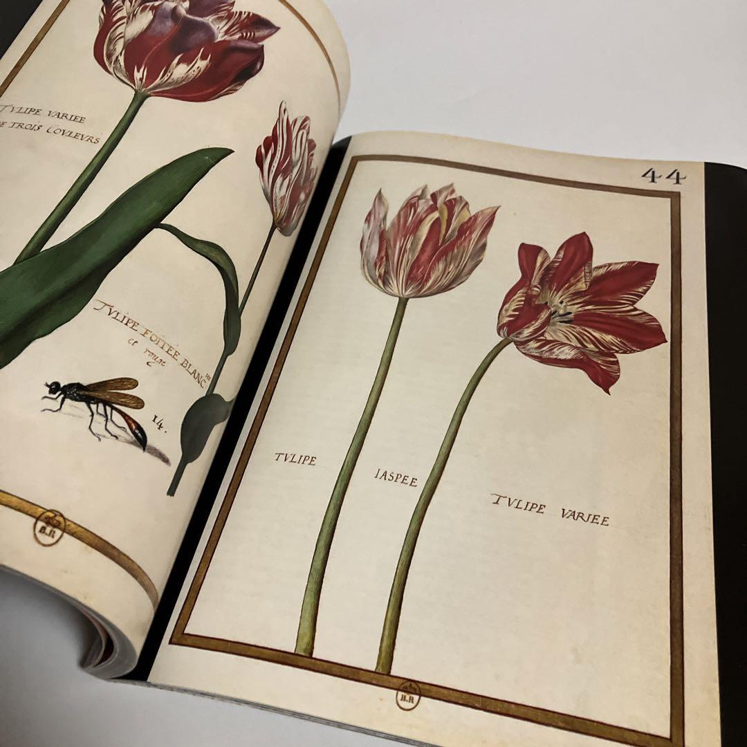 売上実績NO.1 Franco Maria Ricci magazine No.95 アート・デザイン・音楽