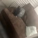 Chocolate Brown Loveseat with Ottoman