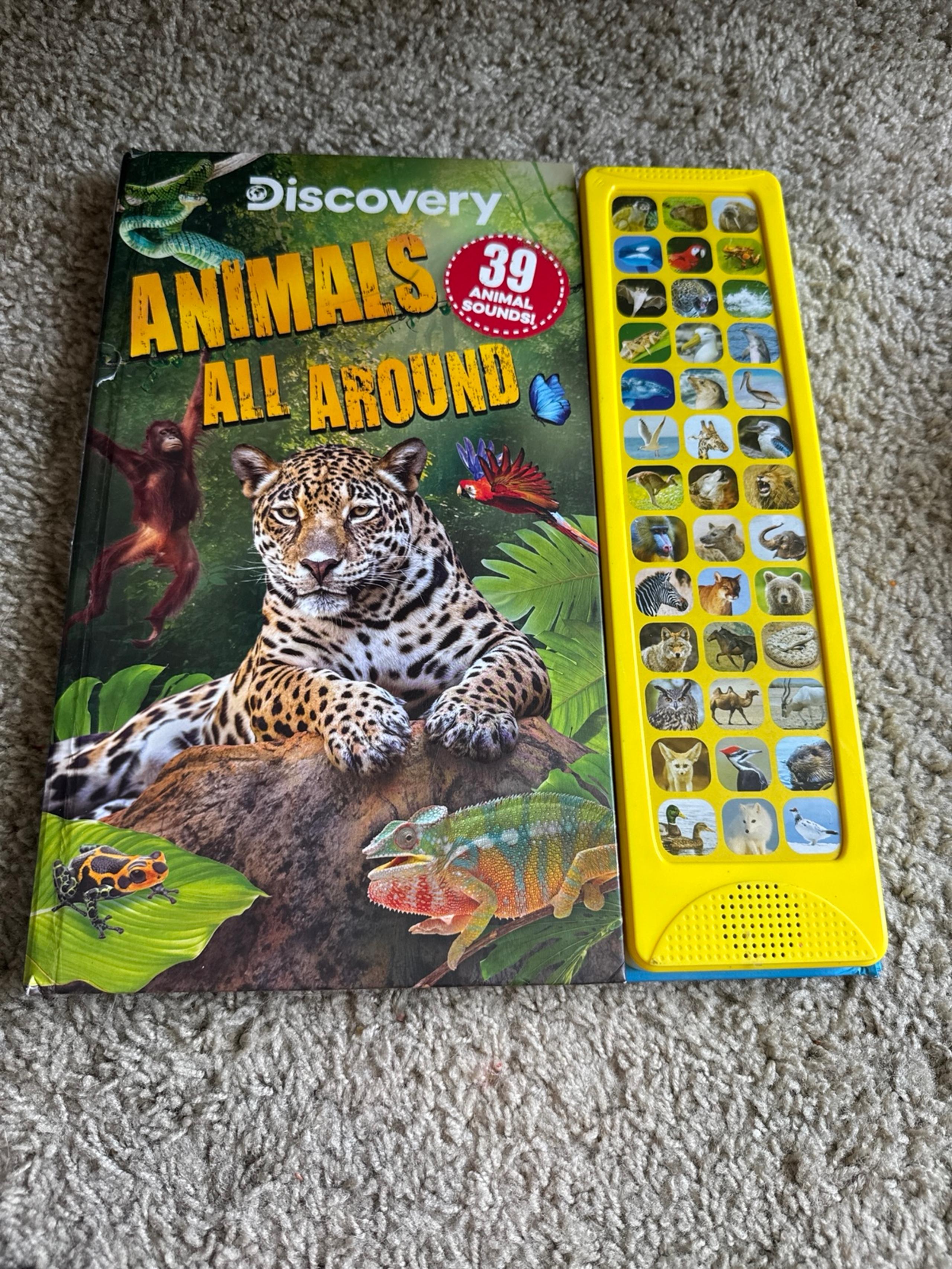 Discovery: Animals All Around Sound Book
