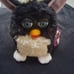 Furby