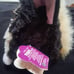 Furby