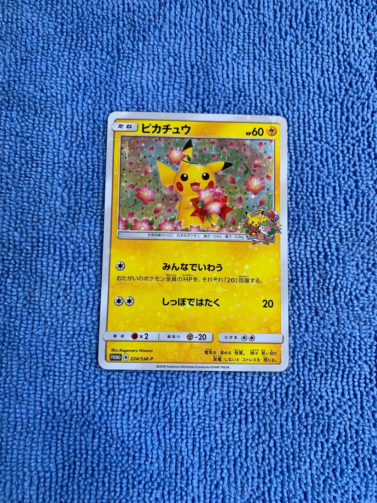 PSA 10 Sapporo's Pikachu 005/SM-P Promo 2016 Pokemon Center